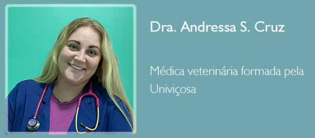 dra-andressa